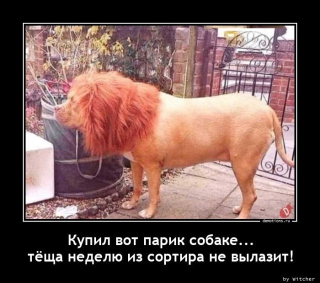 Демотиваторы – приколы: «Стакан воды — это для слабаков!» 