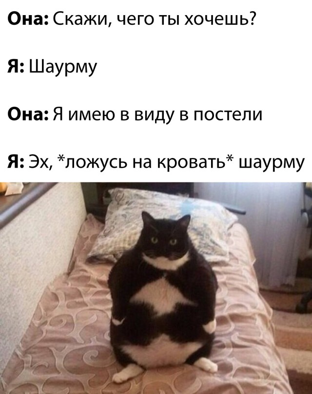 Подборка прикольных картинок 