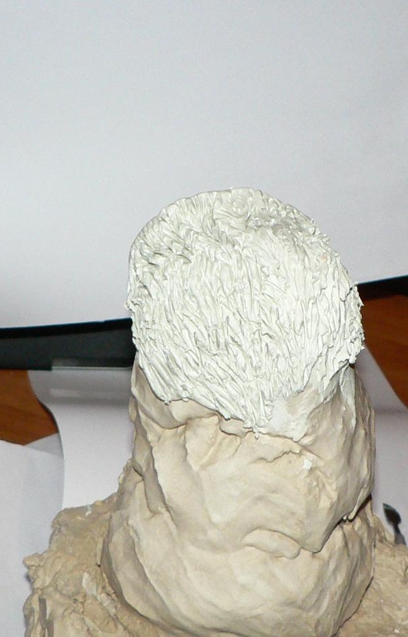 Поделки из полимерной глины своими руками Поделки из полимерной глины своими руками мастер класс