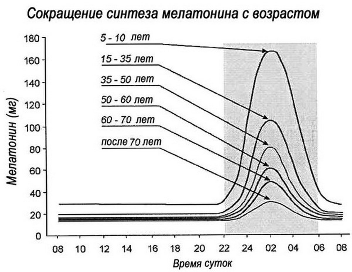 Какой гормон во сне. График выработки мелатонина у детей. Мелатонин выработка в организме. Пик синтеза мелатонина. Мелатонин график выработки.