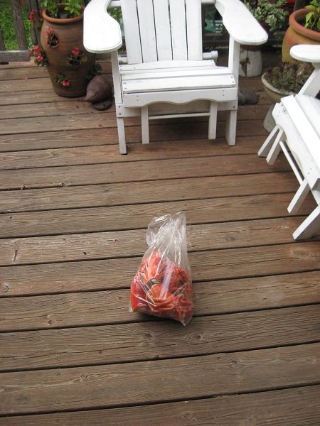 Деревенская Америка Деревенская Америка заграница,путешествие,страны,туризм