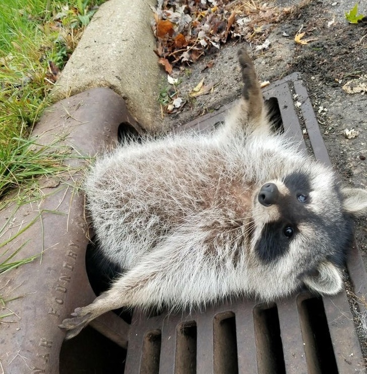 Когда китайцы дерутся район на район - драку видно из космоса