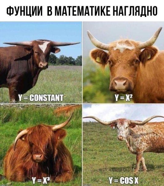 Математический мем