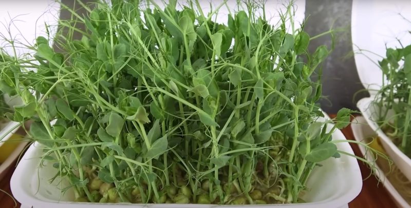 Знаешь почему ты грустный. Ой молодой. Клип моргенштерна. Моргенштерн 2021. Моргенштерн слово.