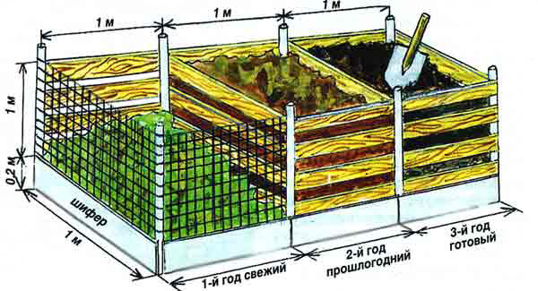 sadov_n_23.jpg