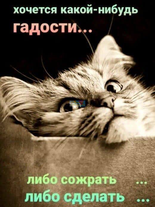 Юмору быть! Свежая ночная подборка Юмору быть! Свежая ночная подборка