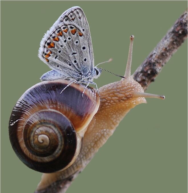 Впечатляющие и красивые фотографии 