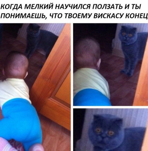 Прикольные фотомемы на Бугаге (26 шт)