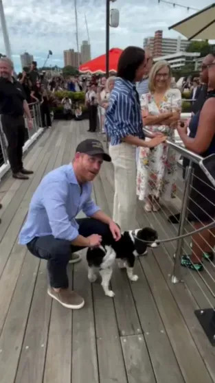 Меган Маркл опубликовала видео из поездки в Австралию, за которую их с принцем Гарри раскритиковали Меган, видео, МарклКадры, Гарри, также, Маркл, поездку, время, больницу, визита, детскую, попытке, Дианы, обвинили, детей, критикуют, тысяч, вызвали, выжившими, назвали