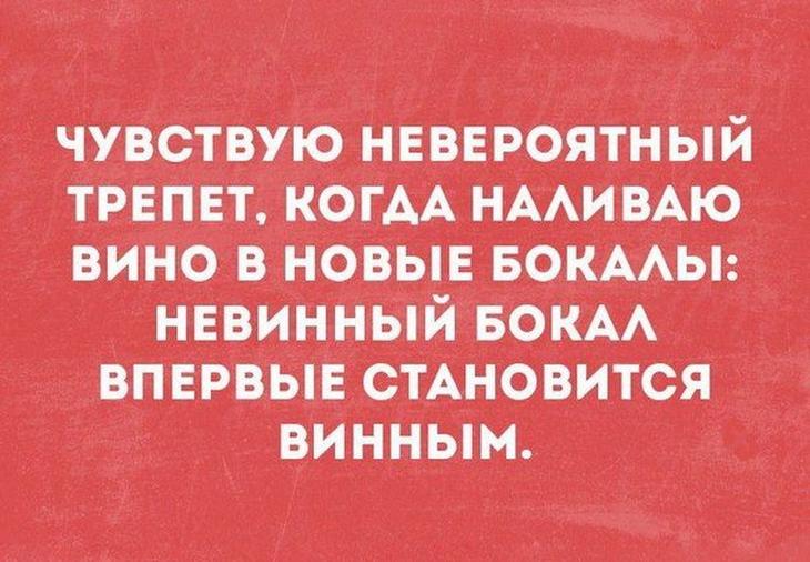 15 ироничных остроумных фразочек в картинках для отличного настроения 