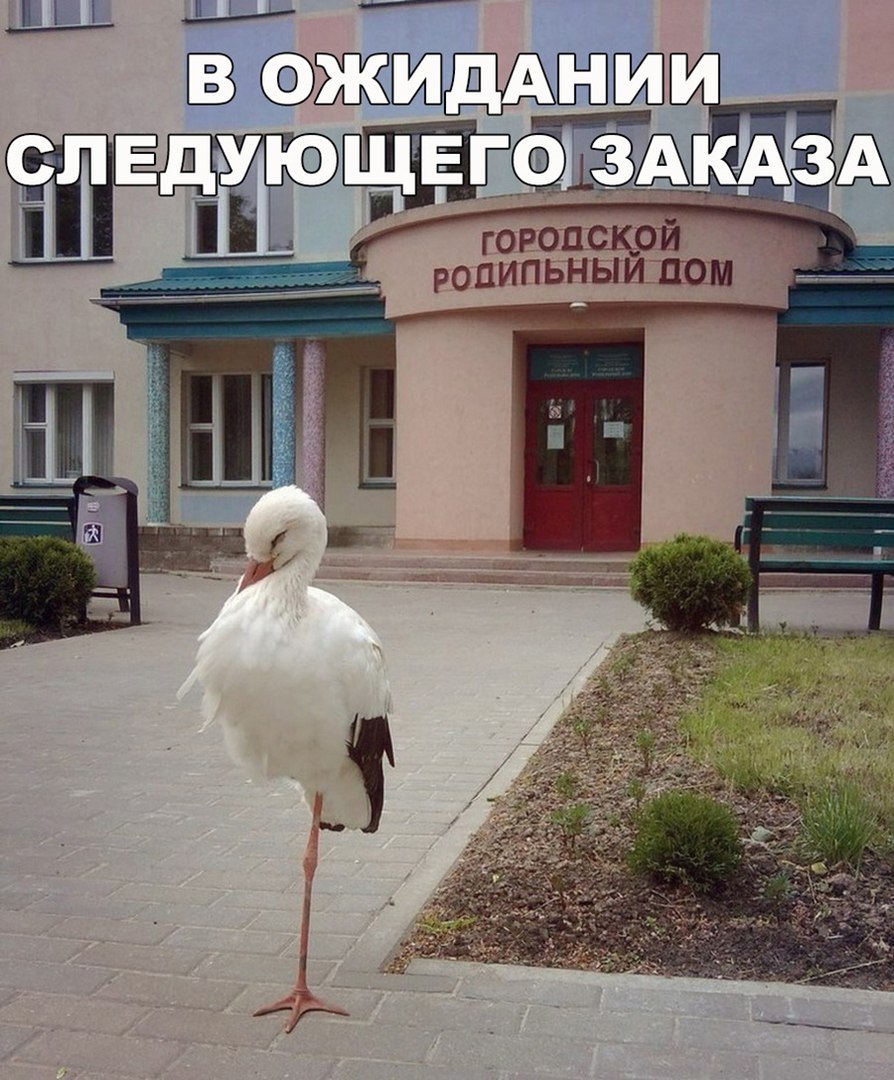 Прикольные и забавные фотографии с надписями для улыбки и позитива