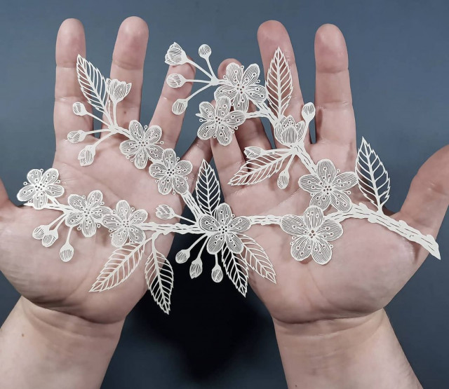 Пиппа Дирлага: виртуозные бумажные творения мастерство,рукоделие,творчество