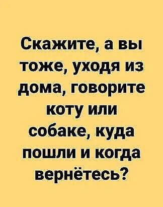 Адольф животные,Истории из жизни,отношения,позитив