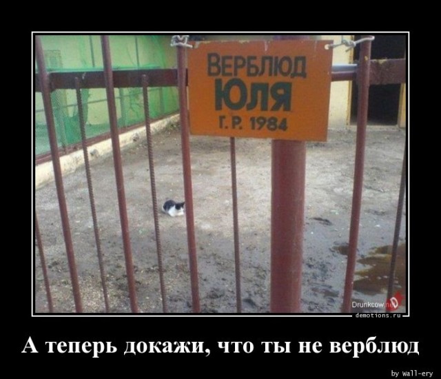 Демотивирующие картинки: «Развод и раздел имущества» 