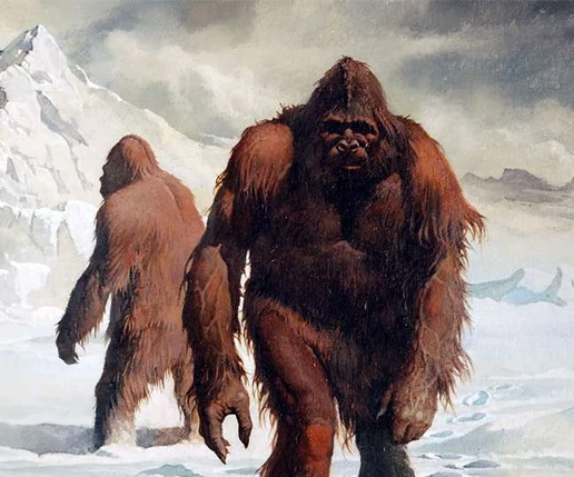 https://static.wikia.nocookie.net/powerlisting/images/7/76/Sasquatch_snow.jpg/revision/latest/scale-to-width-down/516?cb=20190919172800