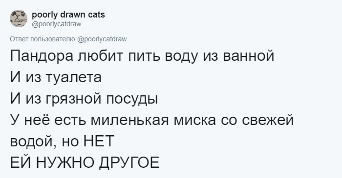 Любуется на себя в зеркале и думает, что он рыба: люди рассказали о странных занятиях своих котов жизнь