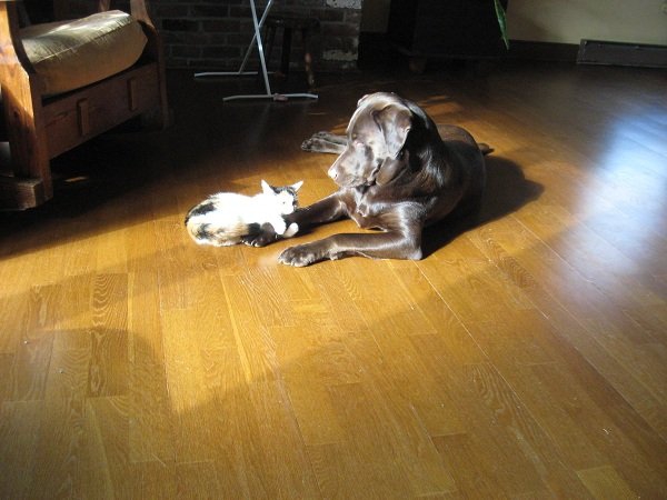 Деревенская Америка Деревенская Америка заграница,путешествие,страны,туризм