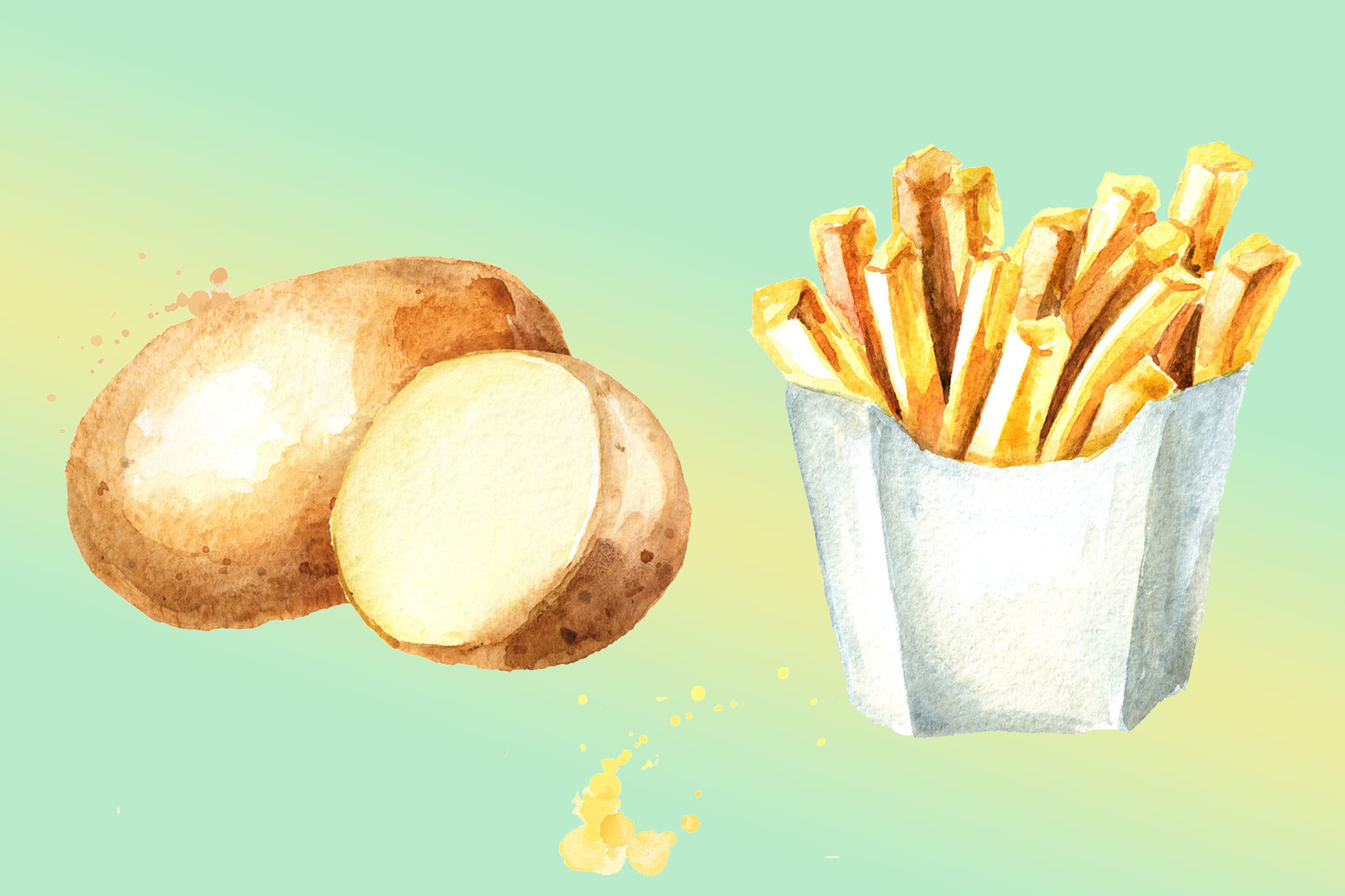 Можно ли есть картофель при правильном питании?