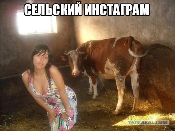 Похожее изображение