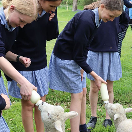 Дети Кейт Миддлтон и принца Уильяма идут в новую школу: что о ней известно Дети Кейт Миддлтон и принца Уильяма идут в новую школу: что о ней известно Монархии