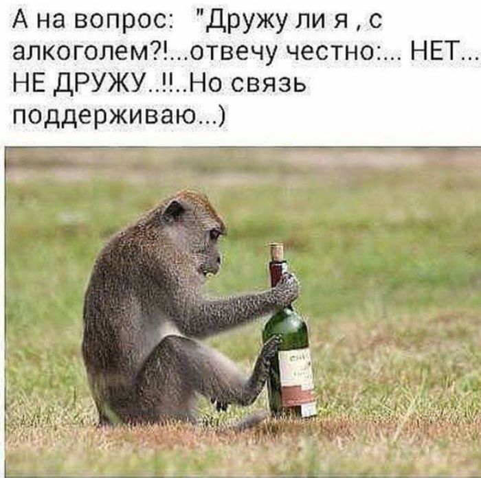 Ип картинки приколы