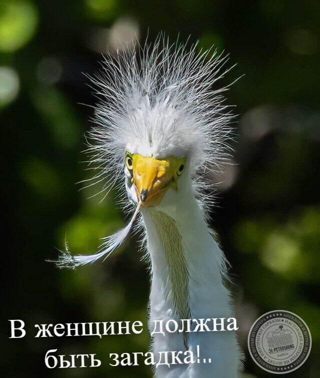 Загадка