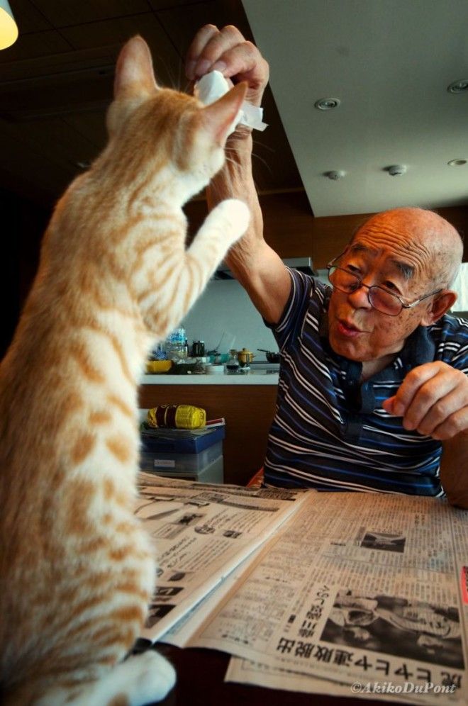 Джиджи и Кинако: как рыжий кот спас старика японца от депрессии