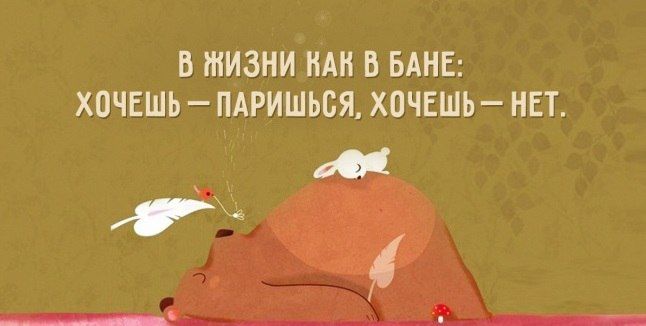 Получаем позитив из веселых картинок с надписями Получаем позитив из веселых картинок с надписями картинки с надписями,красивые фотографии,приколы,фото приколы,юмор