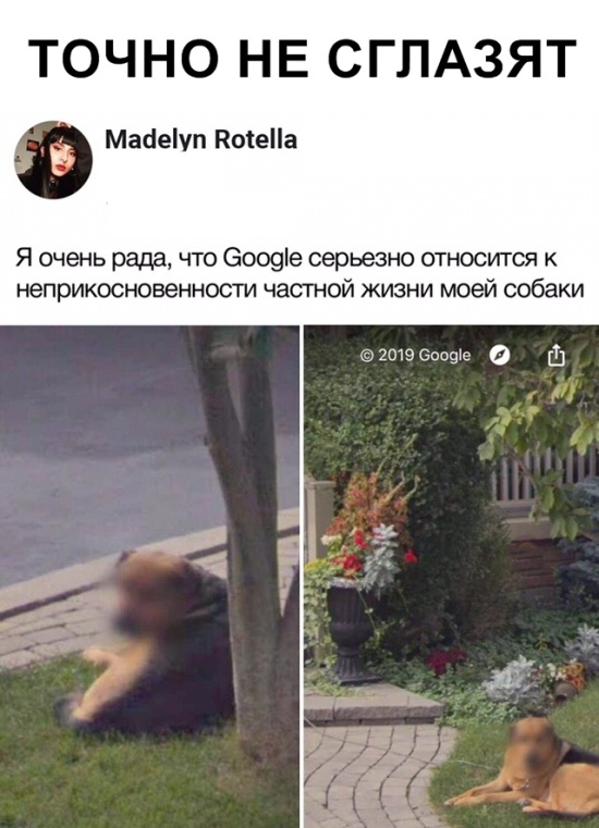 Подборка прикольных картинок Подборка прикольных картинок смешные картинки