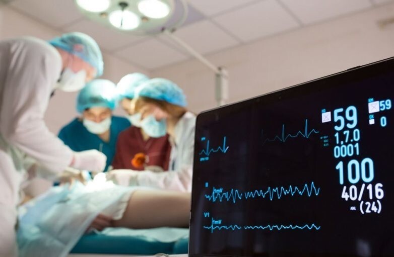 Ученые создали растворимый кардиостимулятор медицина,технологии