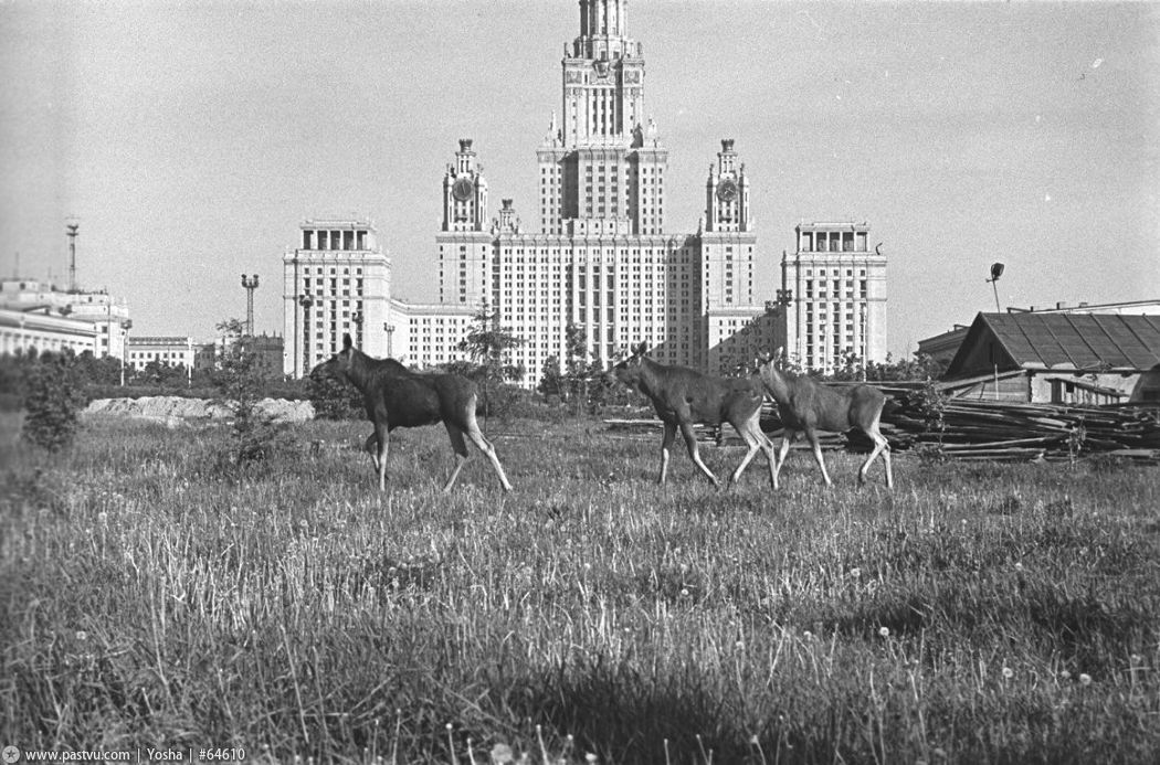 Какой была Москва 