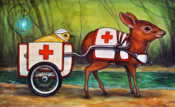 Карликовая Антилопа: Где живут олени размером с кошку? Карликовая Антилопа: Где живут олени размером с кошку?