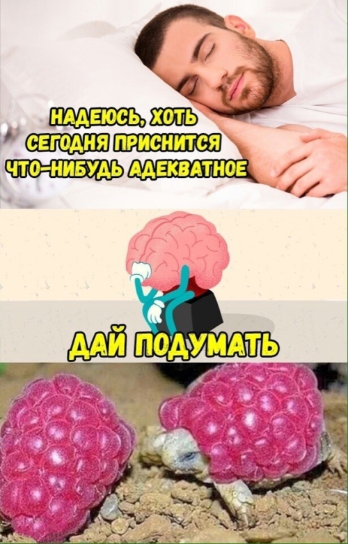 Подборка смешных картинок Подборка смешных картинок смешные картинки