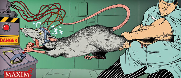 9 экспериментов над крысами, которые помогли понять много нового про людей которые, только, эксперимент, крысы, доктор, более, своих, очень, время, эксперимента, могли, ученых, Александер, крысам, этого, конце, итоге, генетически, ничего, опыты