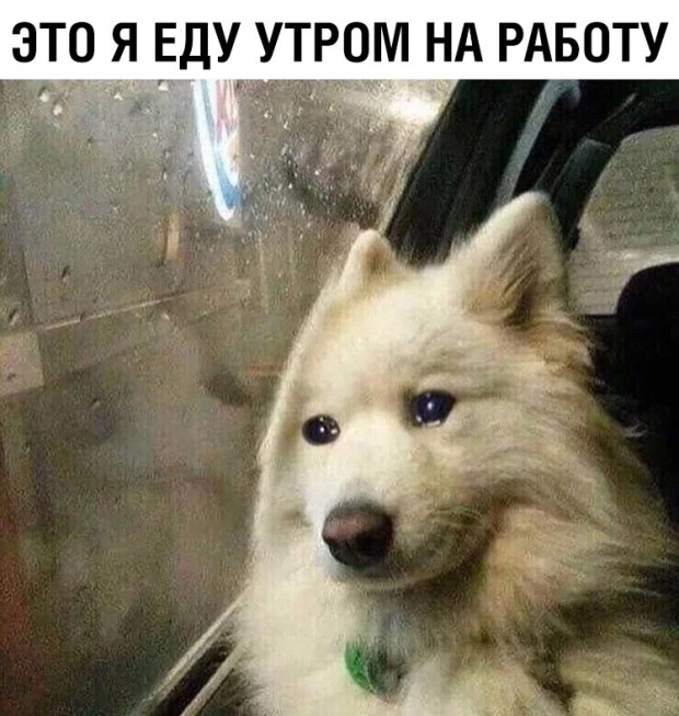 Подборка прикольных картинок Подборка прикольных картинок смешные картинки