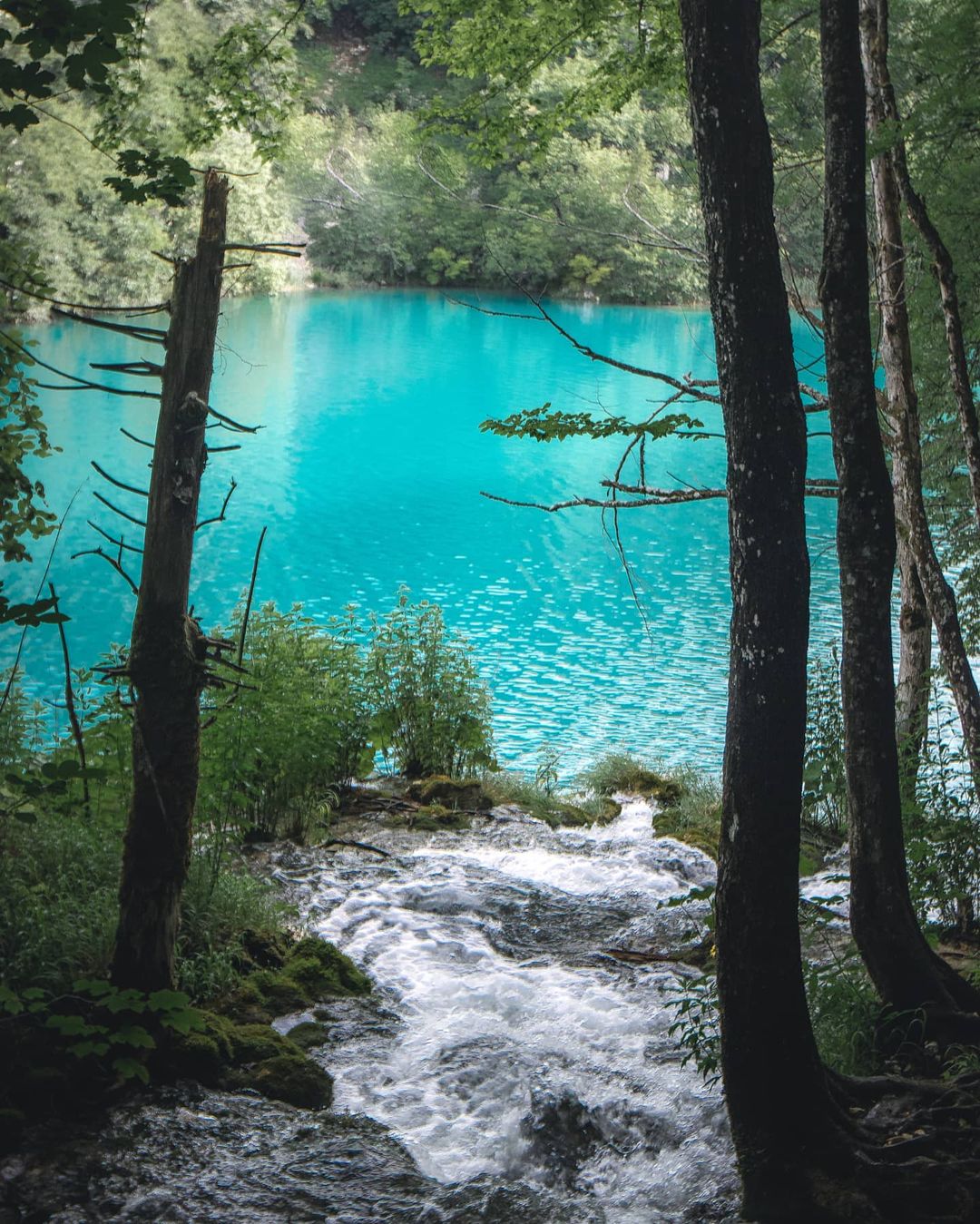 Фотограф-путешественник Гарри Томлянович открывает красоту мира 