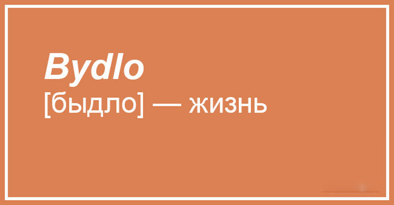 Чешский, что ты делаешь? Прекрати. 20 случаев, когда сдержать смех просто нереально 