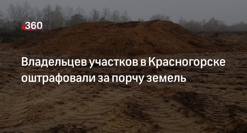Владельцев участков в Красногорске оштрафовали за порчу земель