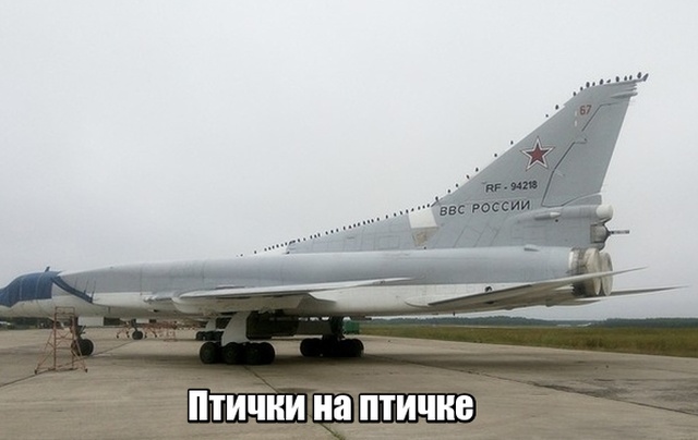 Подборка смешных картинок Подборка смешных картинок смешные картинки