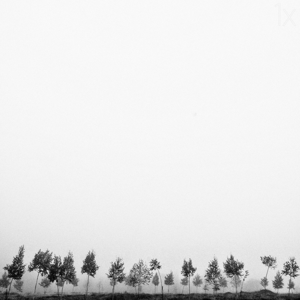 21 фотография для тех, кто понимает минимализм 21 фотография для тех, кто понимает минимализм