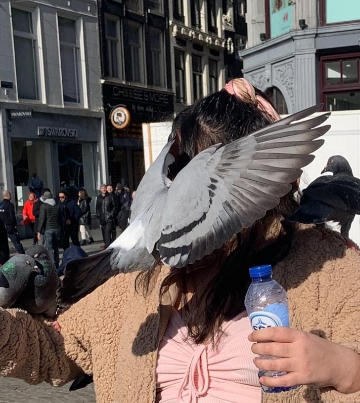 ОТПУСК/КАНИКУЛЫ ОТПУСК/КАНИКУЛЫ