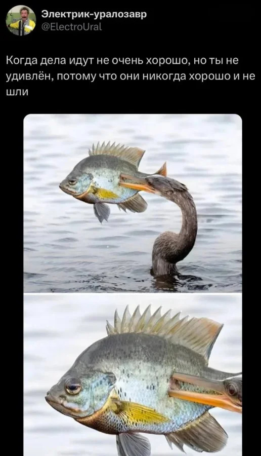 В нынешней жизни так: если нет смайликов — значит разговор серьёзный 