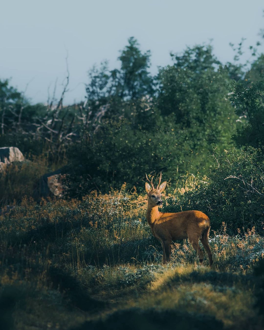 Фотограф-путешественник Гарри Томлянович открывает красоту мира 