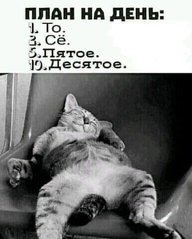 Лишним не будет: подборка юмора