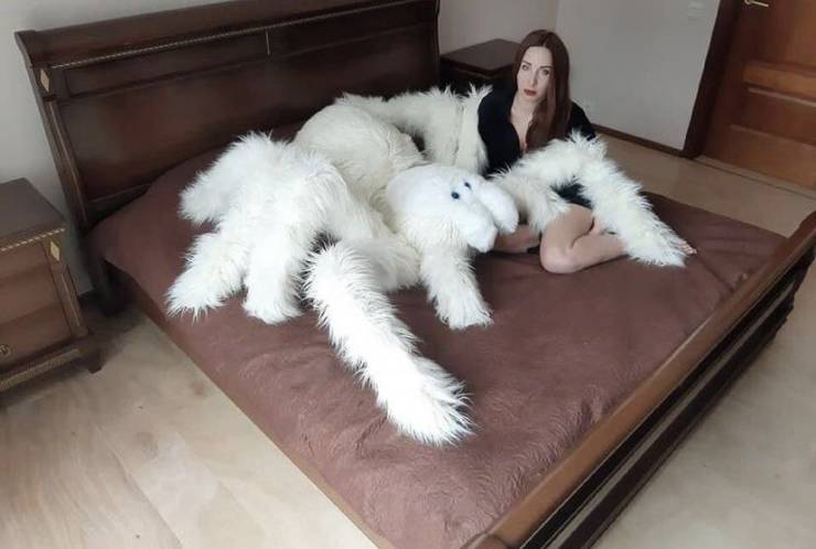 Подборка прикольных картинок  приколы,смешные картинки,юмор