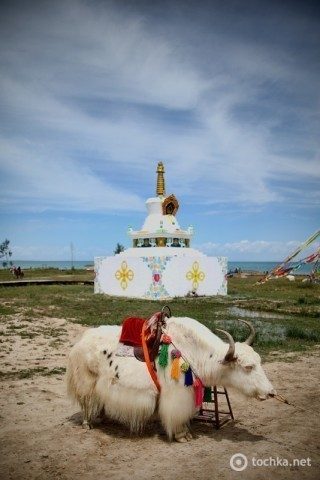 Цхинайские зарисовки Цинхай, озера, только, озеро, горами, высокими, здесь, народов, колоритная, объясняется, коктейлем, культурным, таким, Наверное, Озеро, разных, внешность, собраны, армия, многонациональная