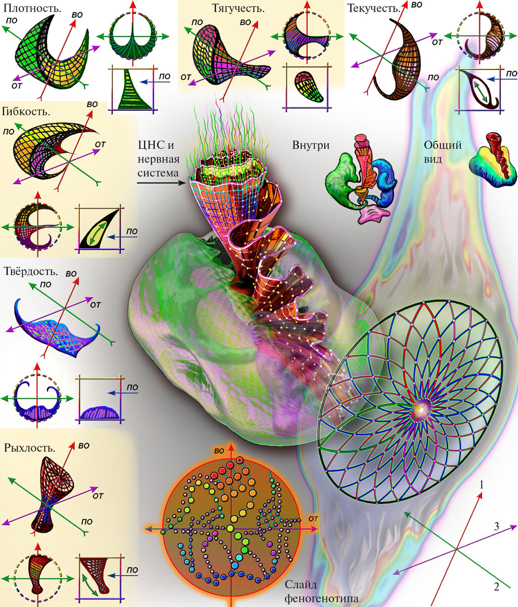 Даже опознанные свойства взаимодействий имеют определённые образы во времени.