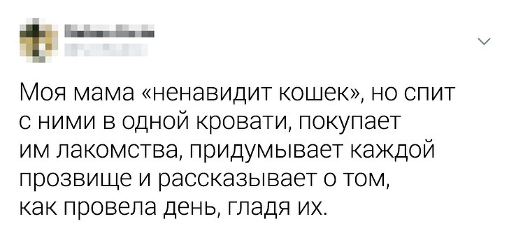 16 мужчин, готовых на все ради питомцев, которых они «никогда не хотели» животные,жизнь,юмор и курьезы