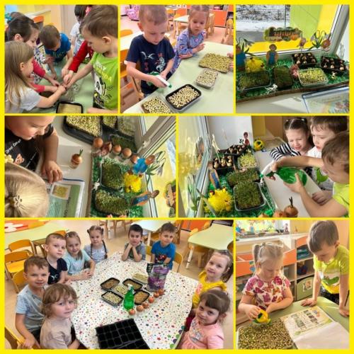 Что за чудо!