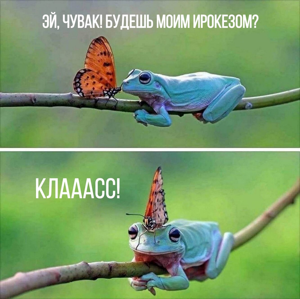 Юмор из интернета 781 веселье,позитив,смех,улыбки,юмор